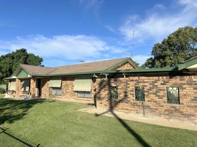 House For Sale - NSW - Moree - 2400 - IMPRESSIVE FAMILY HOME IN AMAROO  (Image 2)