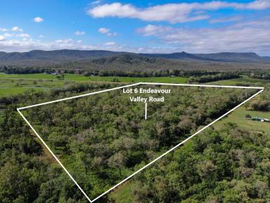 Lifestyle For Sale - QLD - Cooktown - 4895 - 24 Acres on Endeavour Valley Road  (Image 2)