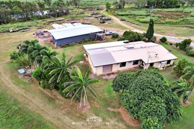 Horticulture For Sale - QLD - Dimbulah - 4872 - IDEAL LIFESTYLE LIVING + FARMING VENTURE  (Image 2)