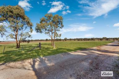 Residential Block For Sale - VIC - Raywood - 3570 - Rural Holding Ideal for Outdoor Adventures and Equestrian Activities, 10.25 Ac / 4.15 Ha  (Image 2)