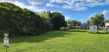 Residential Block For Sale - QLD - Cardwell - 4849 - Large vacant block with 1 bedroom donga - water connected to the block - close to beach  (Image 2)