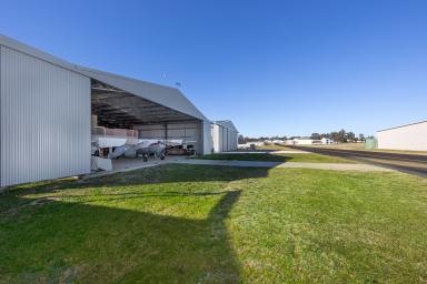 House For Sale - NSW - Temora - 2666 - FLY HOME - AVIATION OPPORTUNITY!  (Image 2)