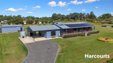 House For Sale - QLD - Redridge - 4660 - BIG FAMILY HOME WITH TOWN WATER  (Image 2)