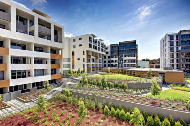 Apartment For Lease - NSW - Arncliffe - 2205 - 2 Bed + Study, 2 Bathroom, 1 Car, Gym, Pool, Spa, Sauna (Image 2)