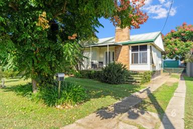 House Sold - NSW - Singleton - 2330 - Quiet town location  (Image 2)