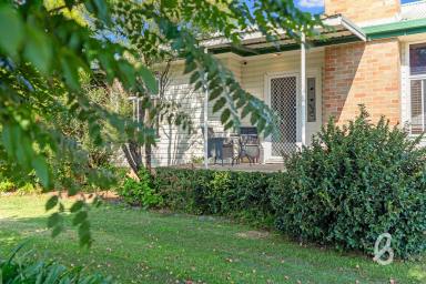 House Sold - NSW - Singleton - 2330 - Quiet town location  (Image 2)