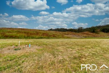 Residential Block For Sale - NSW - Kyogle - 2474 - Great Building Site  (Image 2)