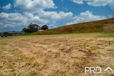 Residential Block For Sale - NSW - Kyogle - 2474 - Build Your Dream!  (Image 2)