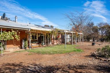 Lifestyle Sold - SA - Leasingham - 5452 - ECO FRIENDLY HIDEAWAY  (Image 2)