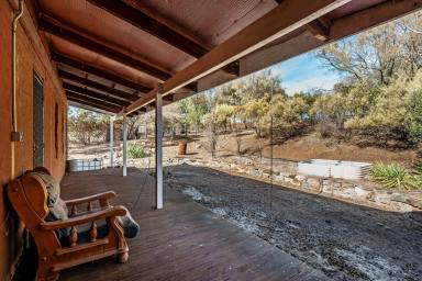 Lifestyle Sold - SA - Leasingham - 5452 - ECO FRIENDLY HIDEAWAY  (Image 2)