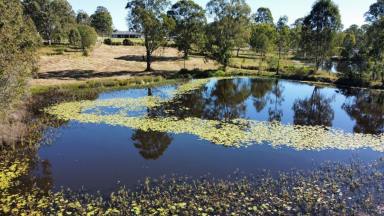 Residential Block For Sale - QLD - Curra - 4570 - COUNTRY BLISS  (Image 2)