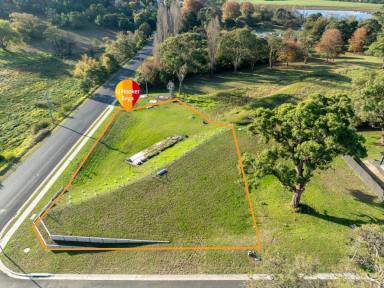 Residential Block For Sale - NSW - Bega - 2550 - HALF AN ACRE, READY TO GO!  (Image 2)