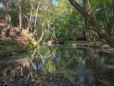 Lifestyle For Sale - NSW - Upper Lansdowne - 2430 - Outstanding views with river frontage. Inspection Saturday 27th July 2pm, Call to Confirm  (Image 2)