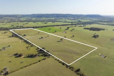 Other (Rural) For Sale - VIC - Creightons Creek - 3666 - "Hillview" - The Perfect Blank Canvas, A Productive Farm  (Image 2)