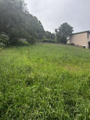 Residential Block For Sale - NSW - Coffs Harbour - 2450 - Affordable land in a great location. .  (Image 2)