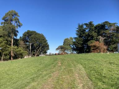 Lifestyle For Sale - VIC - Dollar - 3871 - Pretty acreage block with picturesque rural outlook  (Image 2)