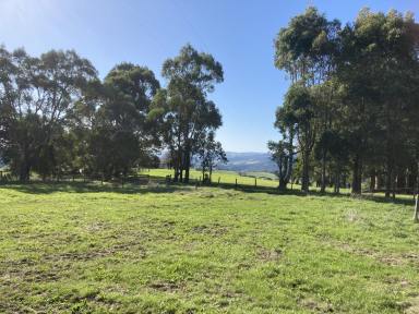 Lifestyle For Sale - VIC - Dollar - 3871 - Pretty acreage block with picturesque rural outlook  (Image 2)