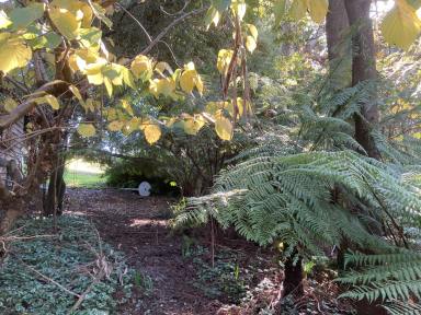 Lifestyle For Sale - VIC - Dollar - 3871 - Pretty acreage block with picturesque rural outlook  (Image 2)