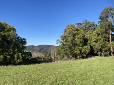 Lifestyle For Sale - VIC - Dollar - 3871 - Pretty acreage block with picturesque rural outlook  (Image 2)