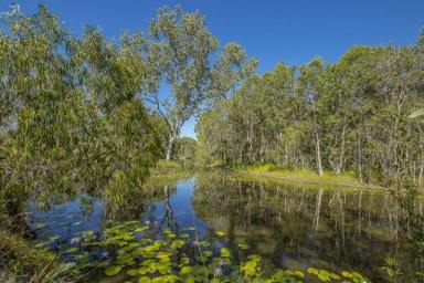 Acreage/Semi-rural Sold - QLD - Yabulu - 4818 - FABULOUS LIFESTYLE PROPERTY WITH CHARACTER QUEENSLAND HOME - SET ON NEARLY 25 ACRES  (Image 2)