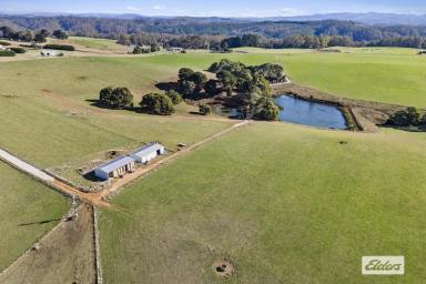 Mixed Farming For Sale - TAS - Wynyard - 7325 - FOR SALE BY EXPRESSIONS OF INTEREST  (Image 2)