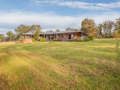 House For Sale - NSW - Kalaru - 2550 - OVER 8 ACRES, HOUSE & SHED!  (Image 2)