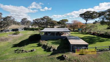 Lifestyle For Sale - NSW - Mudgee - 2850 - "BENWIN PARK"  (Image 2)