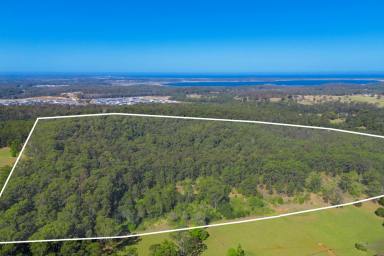 Other (Rural) For Sale - NSW - Lake Innes - 2446 - 30.63ha RURAL BLOCK APPROX 3.5KM TO SOVEREIGN HILLS ROUNDABOUT  (Image 2)
