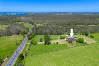 Other (Rural) For Sale - NSW - Fernbank Creek - 2444 - HUGE OPPORTUNITY FOR A POTENTIAL HIGH VISIBILITY VENTURE  (Image 2)