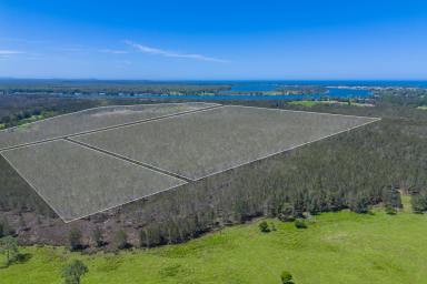 Other (Rural) For Sale - NSW - Port Macquarie - 2444 - Rare Opportunity-100 Acres of Untapped Potential in Prime Coastal Location  (Image 2)