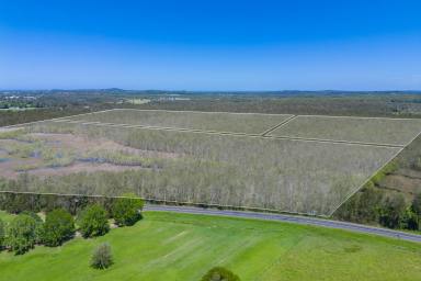 Other (Rural) For Sale - NSW - Port Macquarie - 2444 - Rare Opportunity-100 Acres of Untapped Potential in Prime Coastal Location  (Image 2)