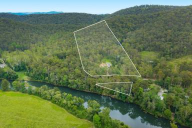 Acreage/Semi-rural For Sale - NSW - Telegraph Point - 2441 - Peaceful & Private Bushland Retreat-Plans Changed for Interstate Owner  (Image 2)
