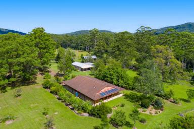 House Sold - NSW - King Creek - 2446 - Embrace Endless Possibilities - Rural Retreat in King Creek  (Image 2)