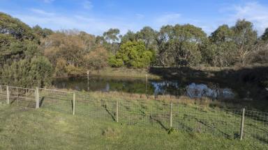 Acreage/Semi-rural For Sale - VIC - Tuerong - 3915 - 3 Phase Power & 2 Seperate Electricity Meters  (Image 2)