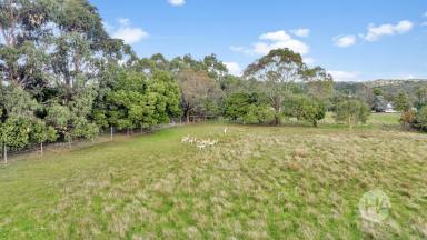 Acreage/Semi-rural For Sale - VIC - Tuerong - 3915 - 3 Phase Power & 2 Seperate Electricity Meters  (Image 2)