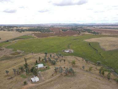 Mixed Farming For Sale - NSW - Warialda - 2402 - Mixed Grazing & Cropping Platform  (Image 2)