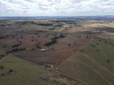 Mixed Farming For Sale - NSW - Warialda - 2402 - Mixed Grazing & Cropping Platform  (Image 2)