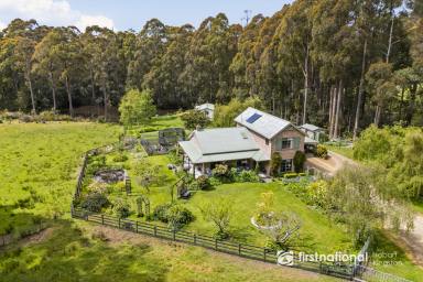 House For Sale - TAS - Margate - 7054 - Substantial Lifestyle Property Plus BnB Approved Self-Contained Studio  (Image 2)