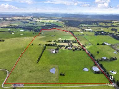Mixed Farming For Sale - NSW - Mandemar - 2575 - Highly Productive Mixed Farming Enterprise  (Image 2)