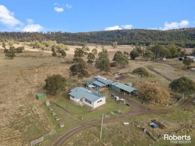 House For Sale - TAS - Levendale - 7120 - Country Haven  (Image 2)