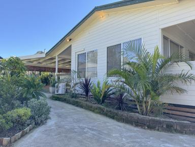 House For Sale - NSW - Wingham - 2429 - Family Home on 1465sqm  (Image 2)