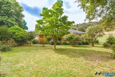 House For Sale - VIC - Myrtleford - 3737 - 19 Acres with 4 Bedroom Home  (Image 2)