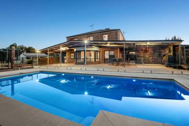 House For Sale - VIC - Junortoun - 3551 - The Ultimate Lifestyle Property  (Image 2)