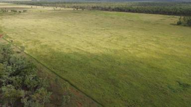 Commercial Farming For Sale - NT - Katherine - 0850 - Expansive 67-Hectare Farm with Business Potential and Modern Amenities  (Image 2)