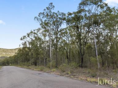 Lifestyle For Sale - NSW - Pokolbin - 2320 - 42 ACRE BUSHLAND HAVEN WITH DA APPROVAL IN WINE COUNTRY  (Image 2)