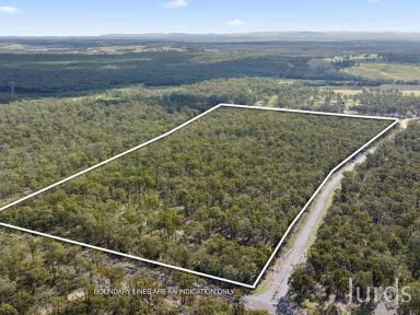 Lifestyle For Sale - NSW - Pokolbin - 2320 - 42 ACRE BUSHLAND HAVEN WITH DA APPROVAL IN WINE COUNTRY  (Image 2)