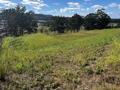 Residential Block Sold - NSW - Coffs Harbour - 2450 - A large block with great outlook.  (Image 2)