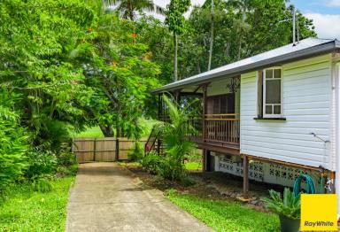 House Leased - QLD - Freshwater - 4870 - Lovely Queenslander In Freshwater with Pool!  (Image 2)