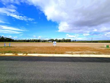 Residential Block For Sale - QLD - Mareeba - 4880 - NEW LAND RELEASE NOW AVAILABLE  (Image 2)