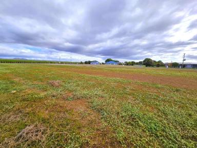 Residential Block For Sale - QLD - Mareeba - 4880 - NEW LAND RELEASE NOW AVAILABLE  (Image 2)